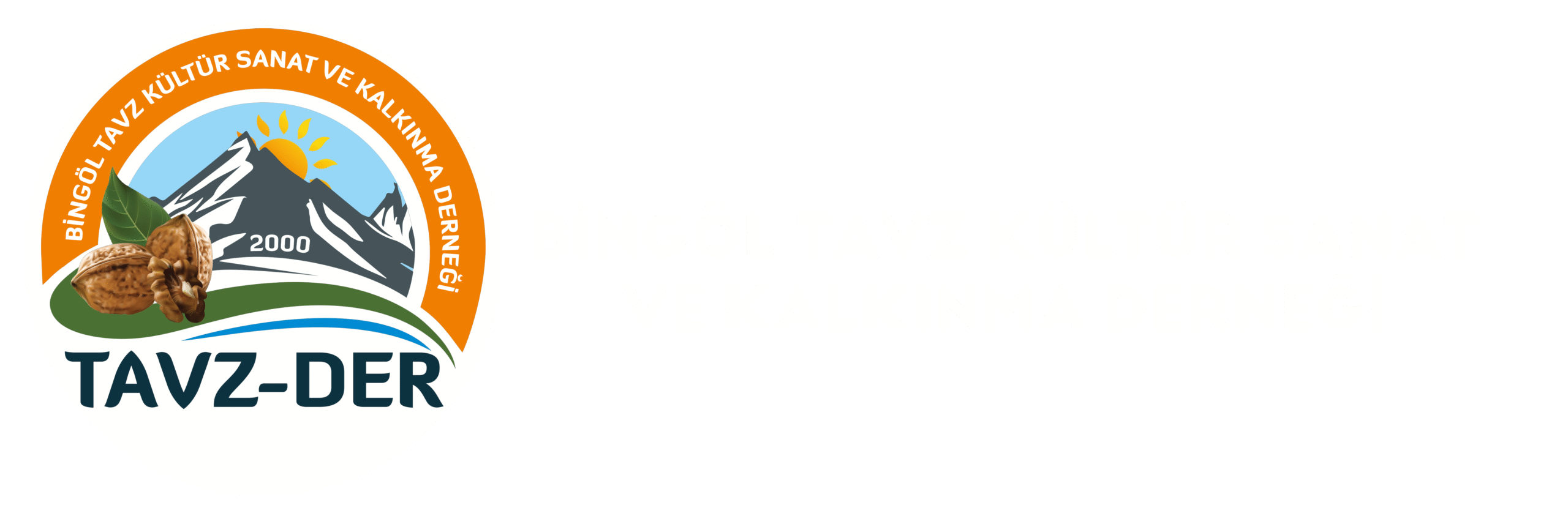 Tavzder